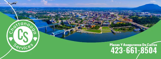 CHATTANOOGA SERVICES LLC