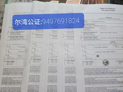 Lin's Irvine Notary, China Visa, Apostille — image 2