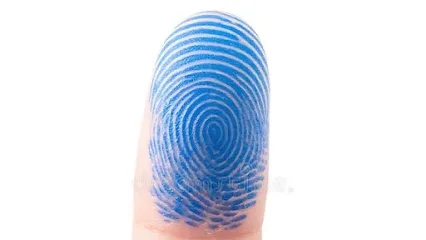 Midtown Fingerprints, Notary Public & Apostille — image 1