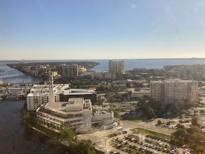 Notary Pro Tampa — image 1