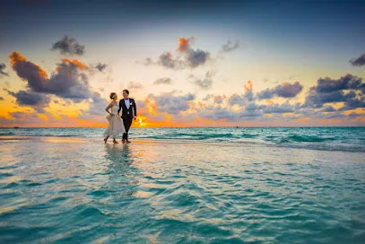 Rainbow Mobile Notary And Nuptials Wedding Officiants Network