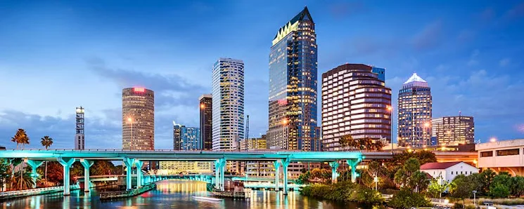 Tampa Bay Mobile Notary Services — image 2