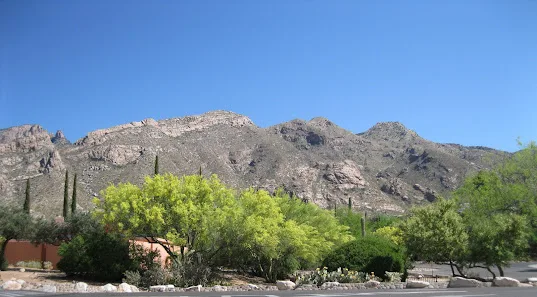 Tucson Notary Pro LLC — image 2