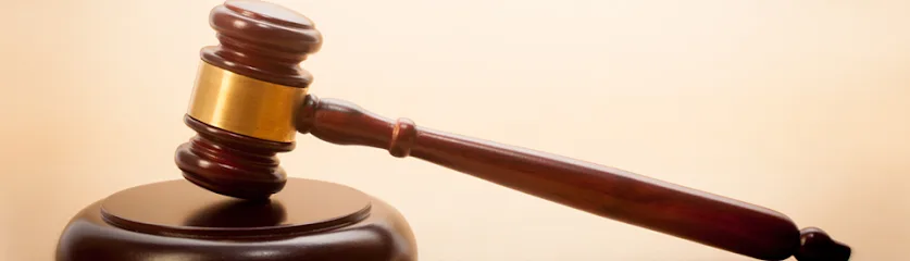 Zas Mobile Notary & Courier Service LLC — image 1